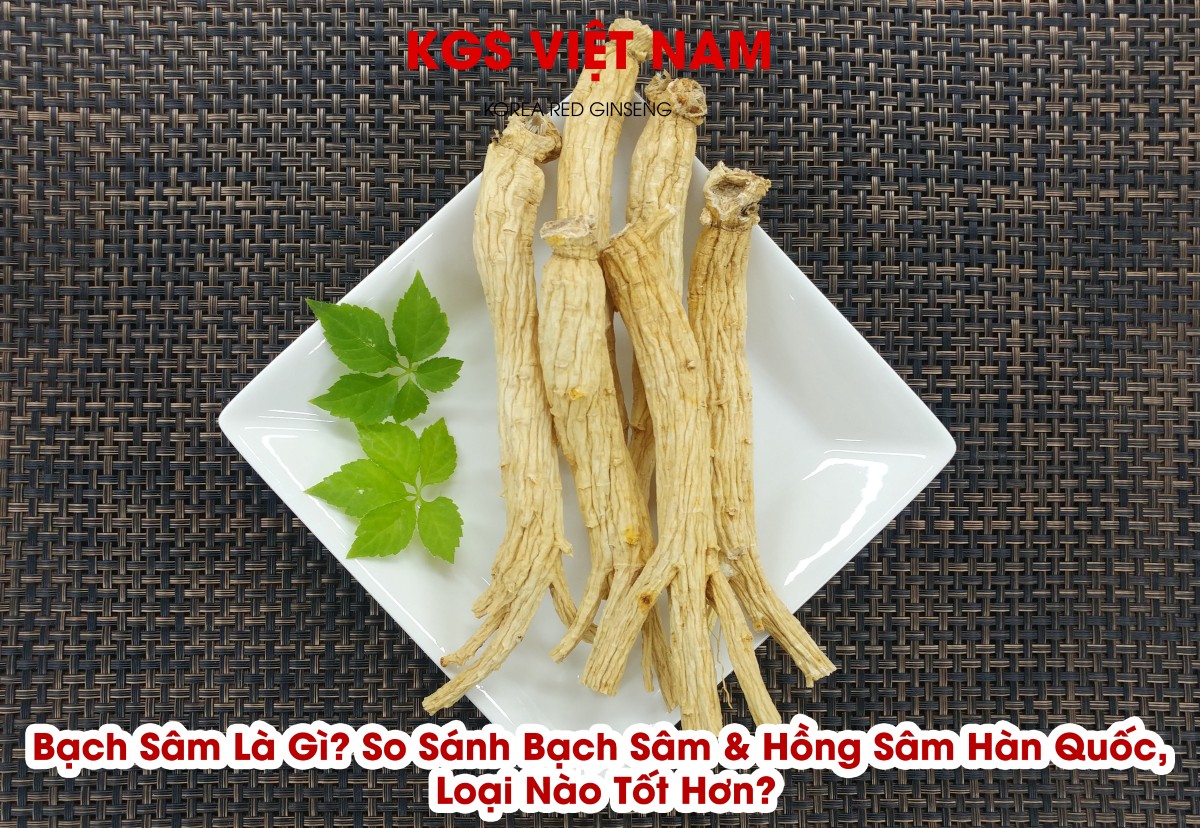 Bạch Sâm Là Gì? So Sánh Bạch Sâm & Hồng Sâm Hàn Quốc, Loại Nào Tốt Hơn?