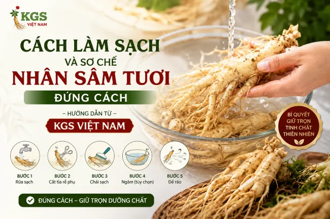 Cách Làm Sạch Và Sơ Chế Nhân Sâm Tươi Đúng Cách – Hướng Dẫn Từ KGS Việt Nam