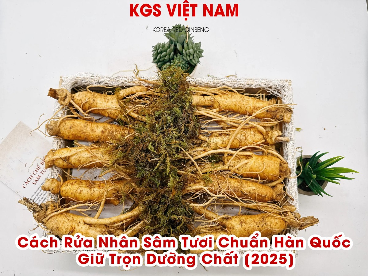 Cách Rửa Nhân Sâm Tươi Chuẩn Hàn Quốc Giữ Trọn Dưỡng Chất [2025]
