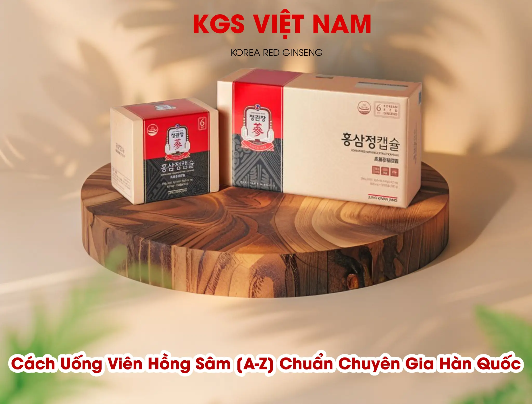 Cách Uống Viên Hồng Sâm [A-Z] Chuẩn Chuyên Gia Hàn Quốc