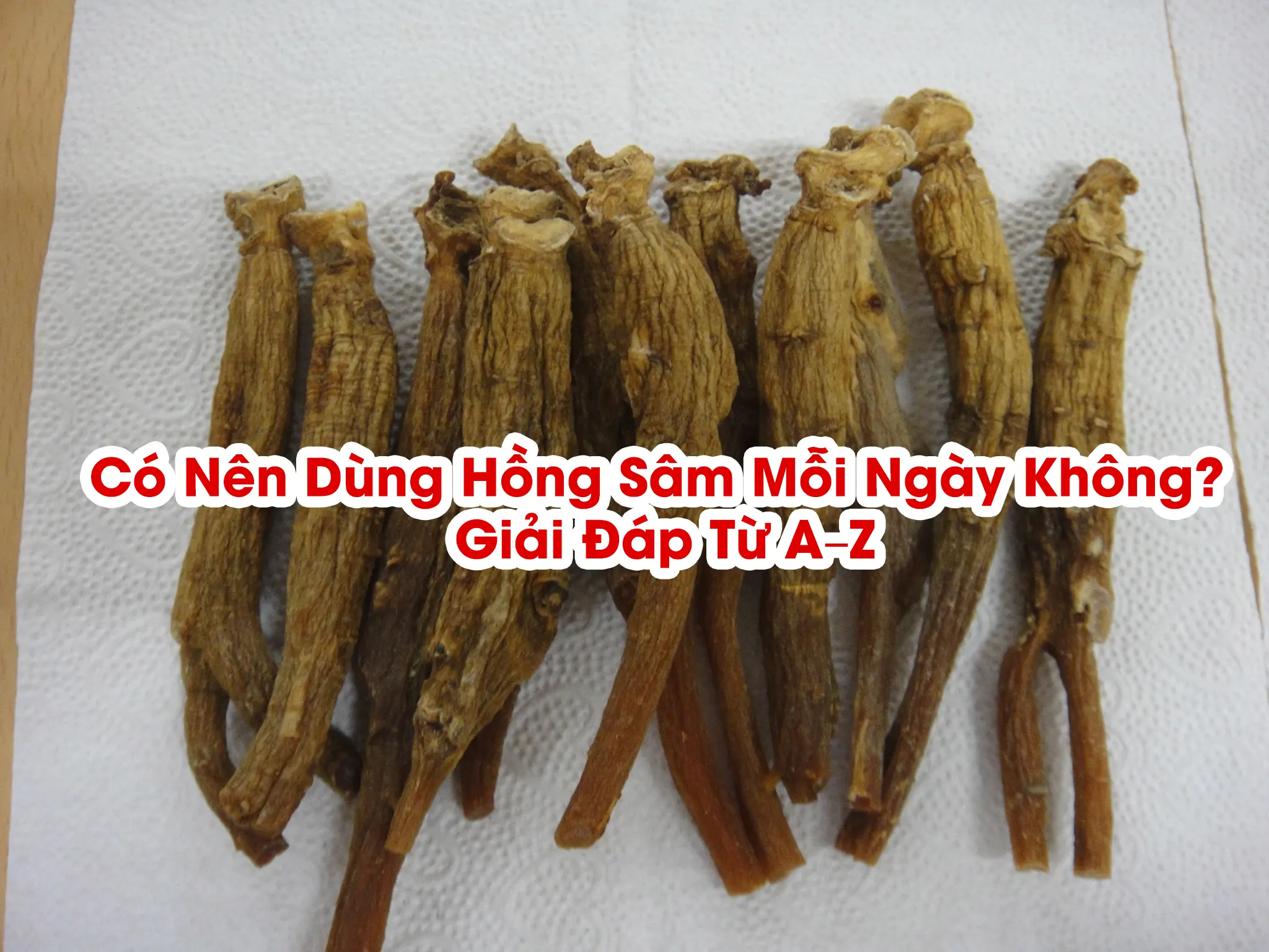 Có Nên Dùng Hồng Sâm Mỗi Ngày Không? Giải Đáp Từ A–Z Có Nên Dùng Hồng Sâm Mỗi Ngày Không? Giải Đáp Từ A–Z