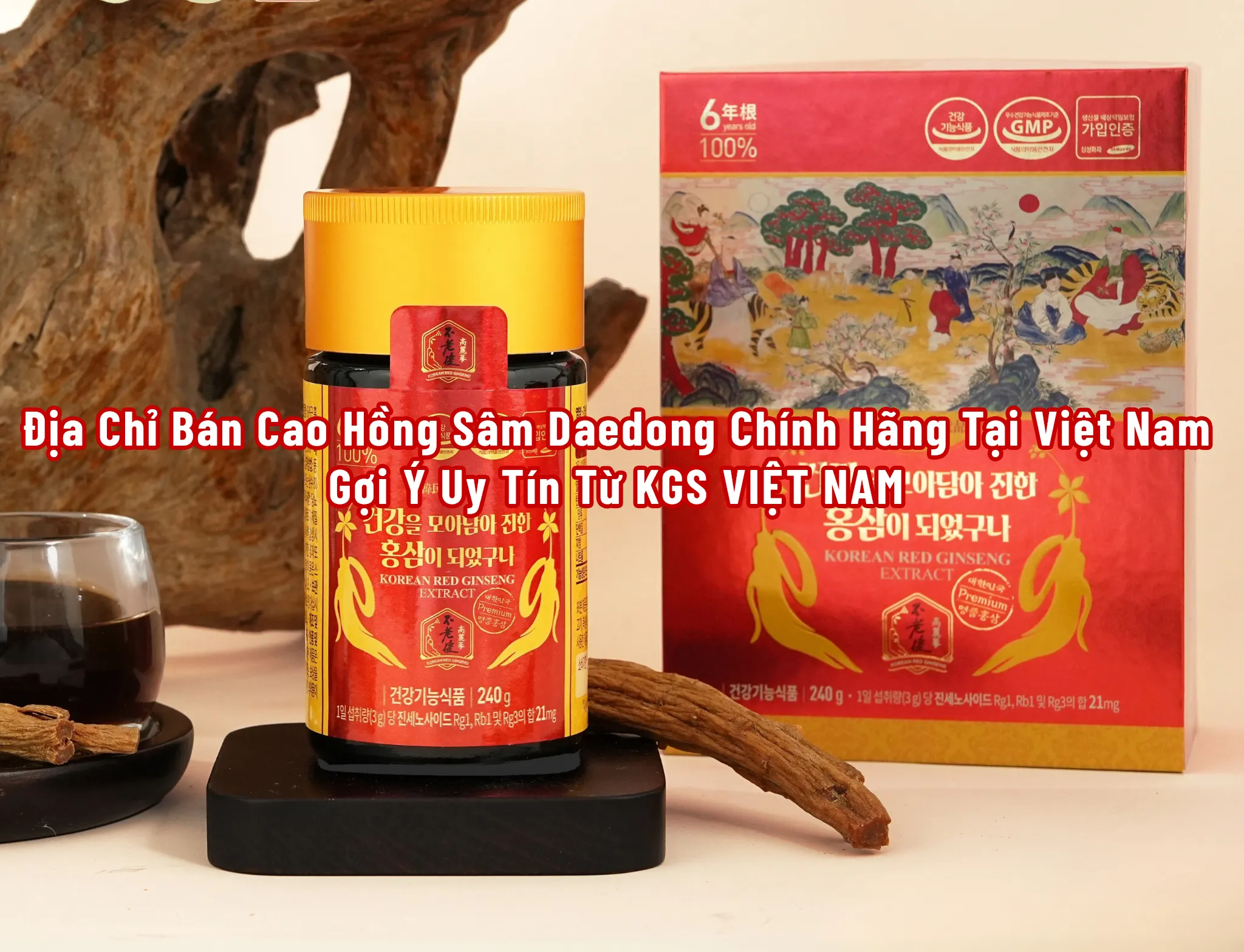 Địa Chỉ Bán Cao Hồng Sâm Daedong Chính Hãng Tại Việt Nam – Gợi Ý Uy Tín Từ KGS VIỆT NAM
