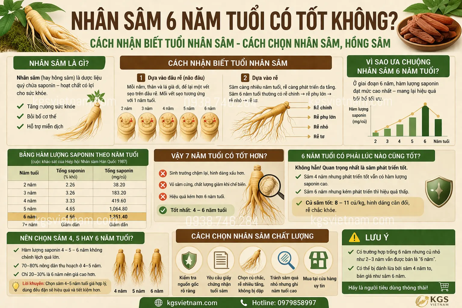 Nhân sâm 6 năm tuổi có tốt không? Cách nhận biết tuổi nhân sâm - Cách chọn nhân sâm, hồng sâm