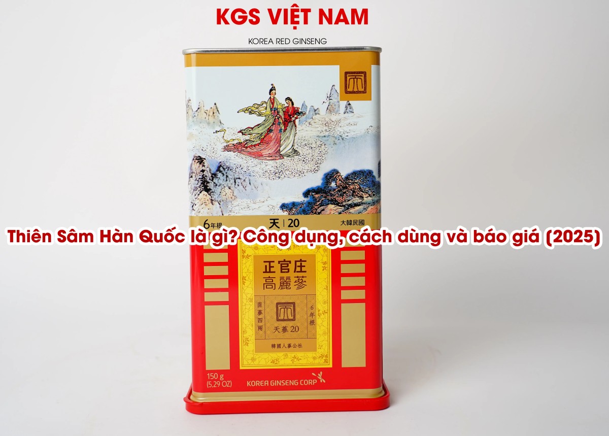 Thiên Sâm Hàn Quốc là gì? Công dụng, cách dùng và báo giá [2025]