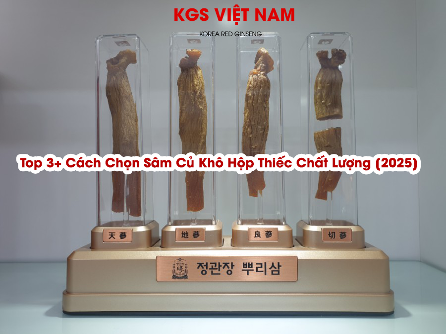 Top 3+ Cách Chọn Sâm Củ Khô Hộp Thiếc Chất Lượng [2025]
