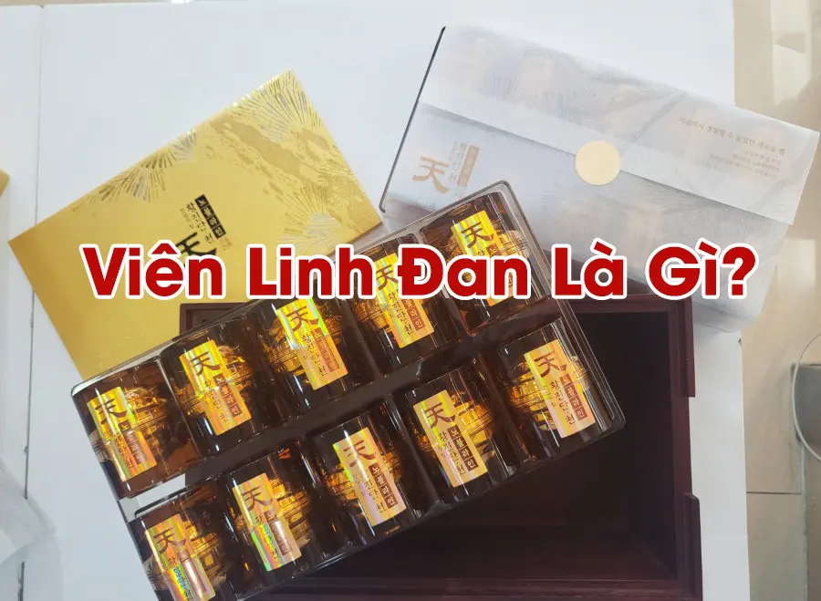 Viên Linh Đan Là Gì? | KGS Việt Nam Viên Linh Đan Là Gì? | KGS Việt Nam