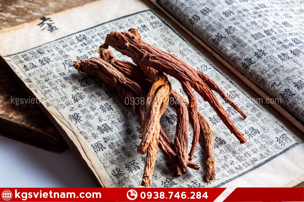 Người bị nóng trong tìm hiểu hồng sâm Hàn Quốc có phù hợp không