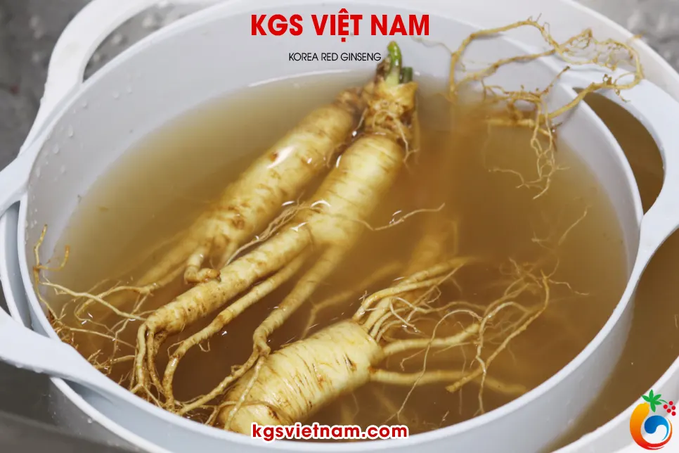 tráng sâm bằng nước để cho trôi đi lớp đất bám trên thân củ