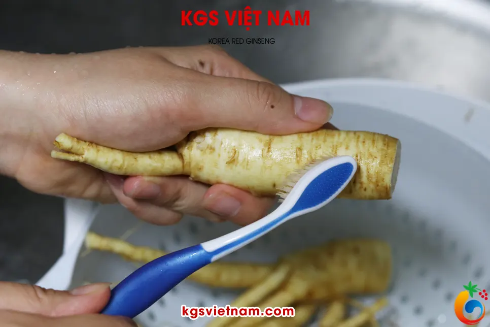 Dùng bàn chải lông mêm chà sạch đất bám trên thân củ sâm