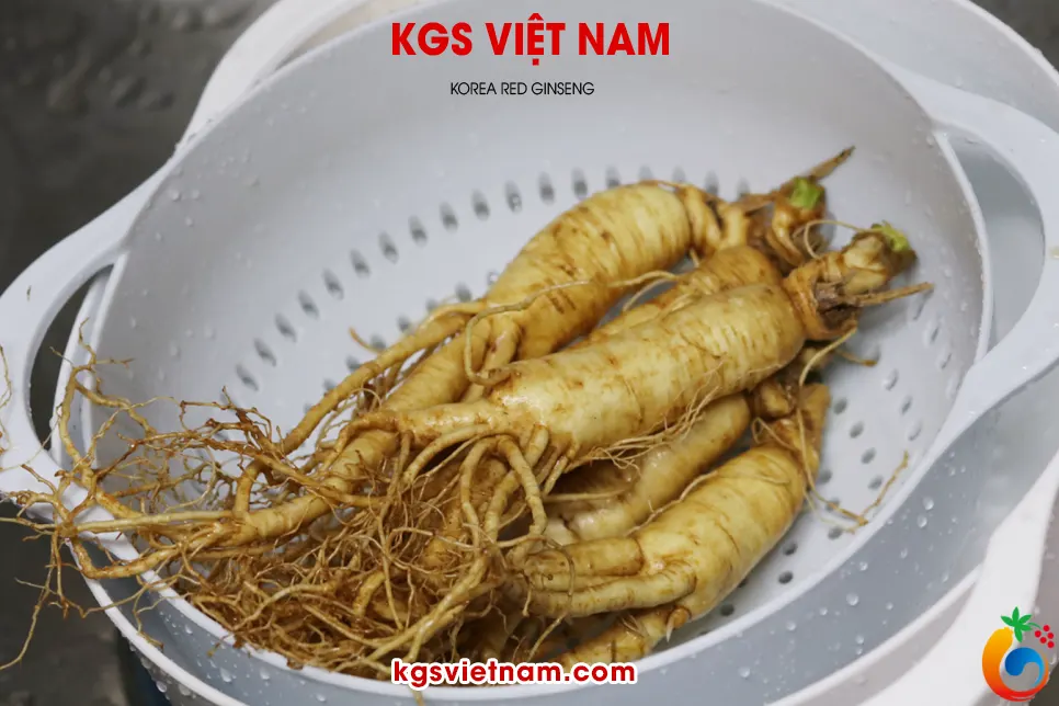 Để ráo nước rồi đến công đoạn cắt tỉa
