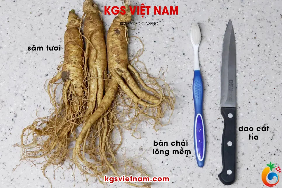 Dụng cụ chuẩn bị rửa sâm tươi | KGS Việt Nam