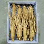 Sâm Tươi Hàn Quốc 8 Củ 1 Kg Dùng Để Ngâm Rượu, Biếu Tặng