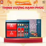 Hộp Quà Tặng Hồng Sâm Cao Cấp KGC Jung Kwan Jang Thịnh Vượng Hạnh Phúc
