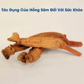 Tác Dụng Của Hồng Sâm Đối Với Sức Khỏe