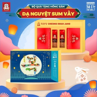 Hộp Quà Tặng Hồng Sâm Cao Cấp KGC DẠ NGUYỆT SUM VẦY