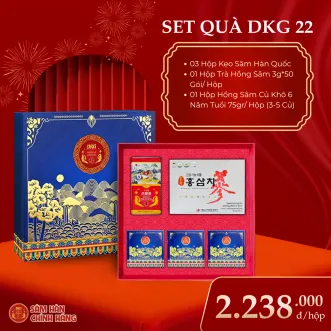 Hộp quà tặng hồng sâm Daedong mẫu sô 22