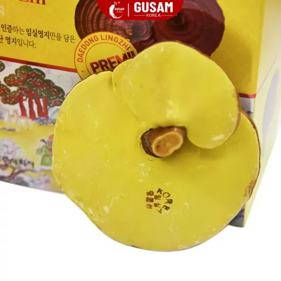 Nấm Linh Chi Deadong Hàn Quốc 1kg