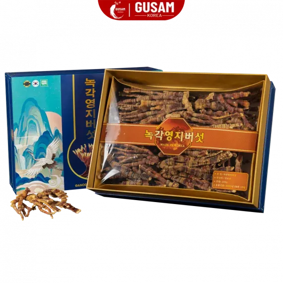 Nấm Linh Chi Sừng Hươu Cao Cấp hàn Quốc 500g