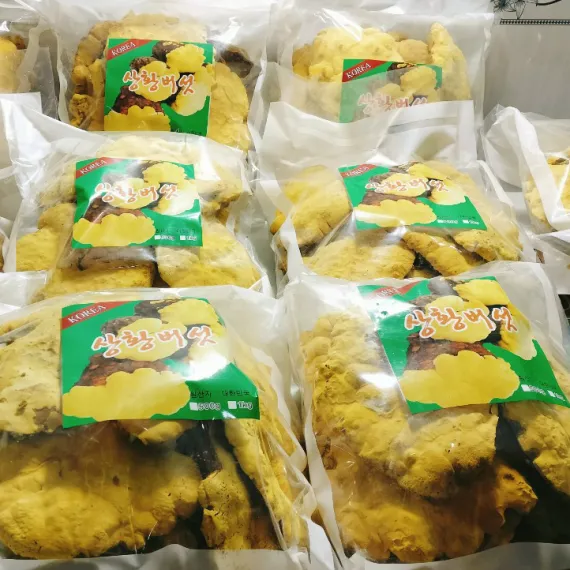 Nấm Thượng Hoàng Hàn Quốc Loại A 1kg