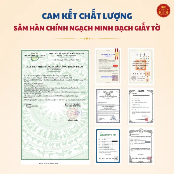 Bột thái cực sâm( Thiên Sâm) Daedong 100g x 30 lọ
