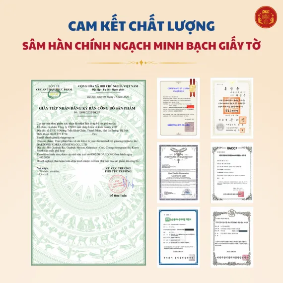 Cao hồng sâm lên men Daedong 100g x 3 lọ