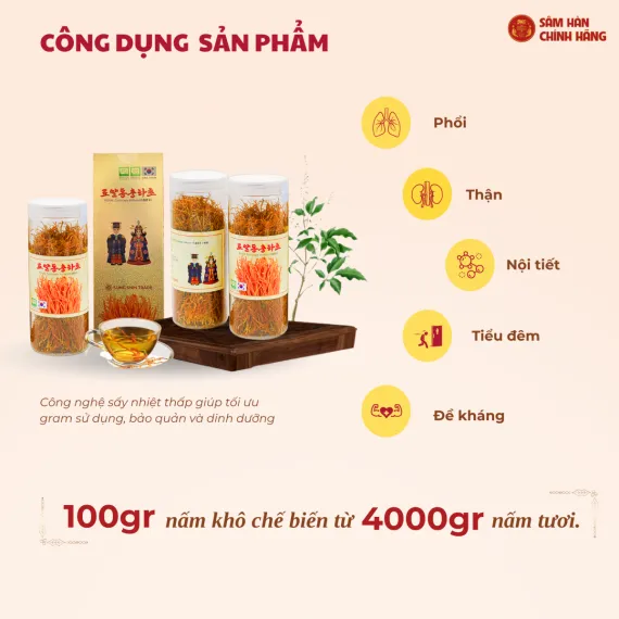 Đông trùng hạ thảo Daedong Militaris Hoàng Gia 100g