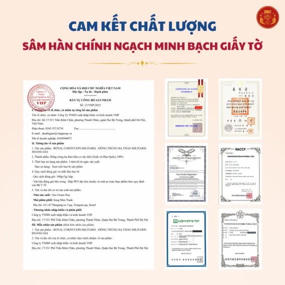 Đông trùng hạ thảo Daedong Militaris Hoàng Gia 100g