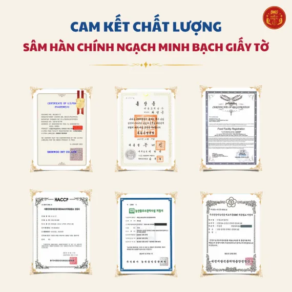 Hộp quà tặng hồng sâm Daedong mẫu số 17