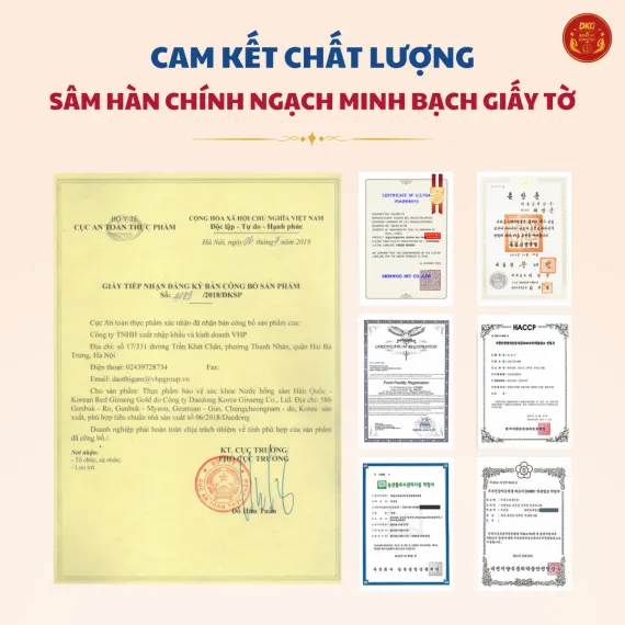 Nước hồng sâm Gold Daedong 80ml x 30 gói Nước hồng sâm Gold Daedong 80ml x 30 gói