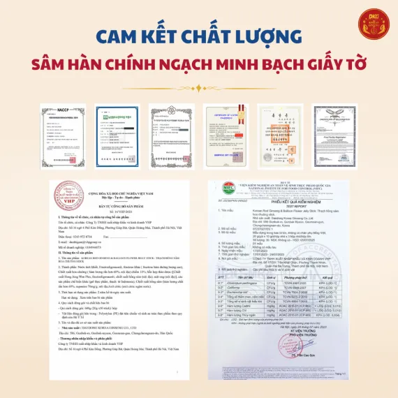 Thạch hồng sâm hoa chuông Daedong 20g x 30 gói