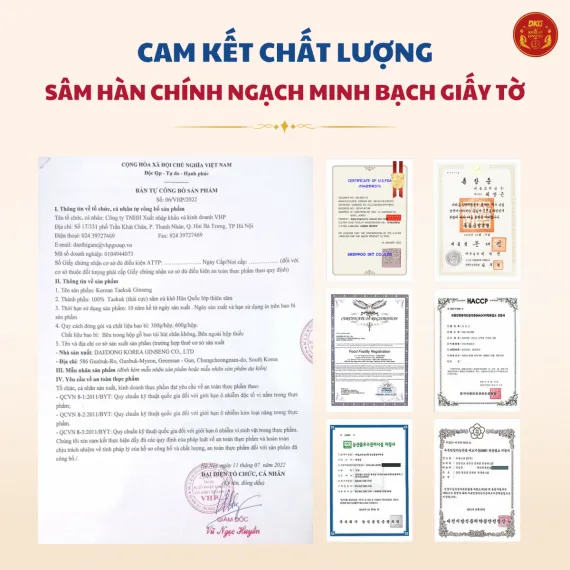 Thái cực sâm củ khô Daedong 300g số 10( hộp 10 củ)