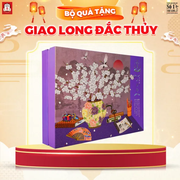 Hộp Quà Tặng Hồng Sâm Cao Cấp KGC Jung Kwan Jang Giao Long Đắc Thuỷ