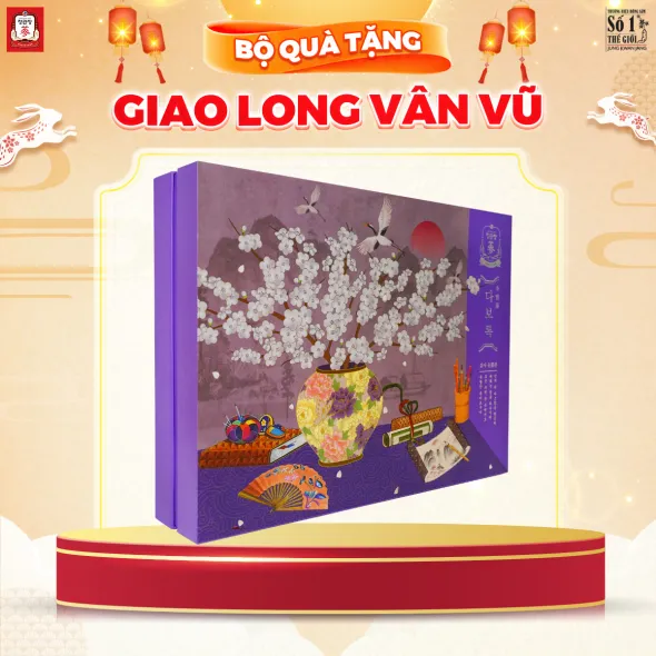 Hộp Quà Tặng Hồng Sâm Cao Cấp KGC Jung Kwan Jang Giao Long Vân Vũ