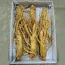 Sâm Tươi Hàn Quốc 6 Củ 1 Kg Dùng Để Ngâm Rượu, Biếu Tặng