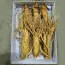 Sâm Tươi Hàn Quốc 6 Củ 1 Kg Dùng Để Ngâm Rượu, Biếu Tặng