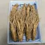Sâm Tươi Hàn Quốc 8 Củ 1 Kg Dùng Để Ngâm Rượu, Biếu Tặng