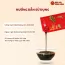 Nước hồng sâm Daedong 70ml x 30 gói
