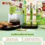 Nước hồng sâm trẻ em DaeDong Tonic Jelly từ 2 - 5 tuổi 20g x 30 gói